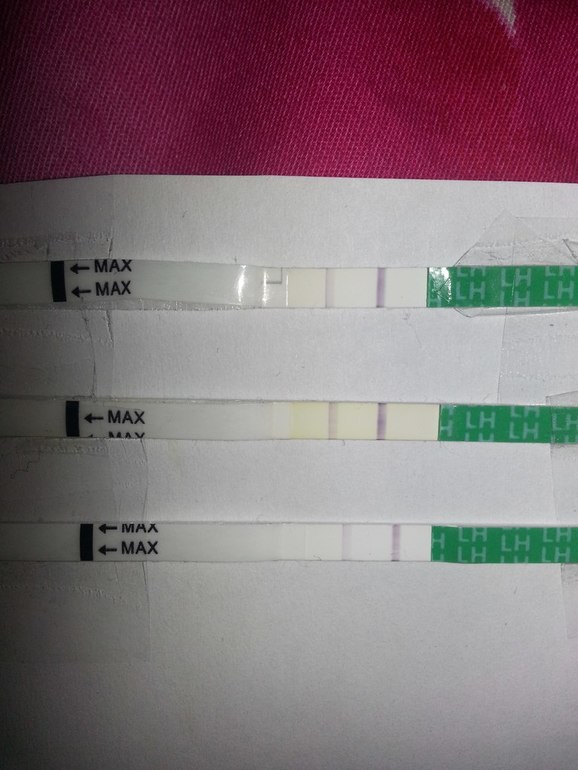 Тесты на овуляцию