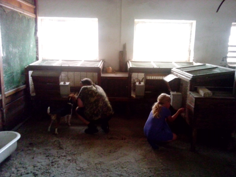 Отпуск и беременность, куда ехать?