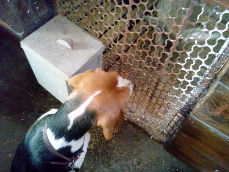 Отпуск и беременность, куда ехать?