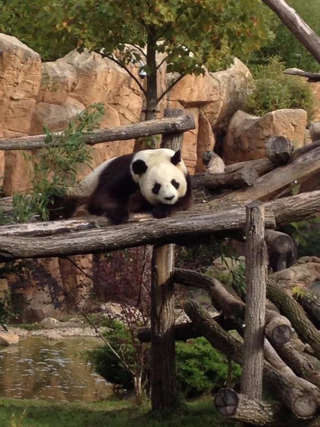 ZooParc de Beauval