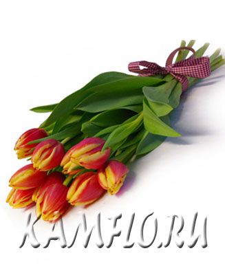 49898cca5277cc26184db24bda0e22d2.jpg