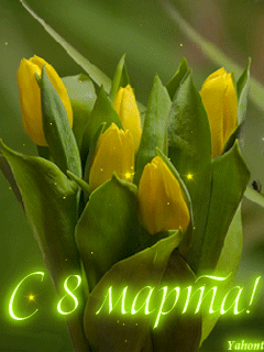 fbc49ddf601b8dd938e9bcd4e02599fb.gif