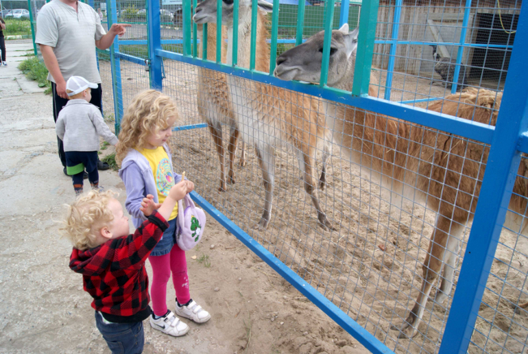 Мини-зоопарк Горки