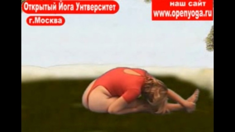 Йога... (список асан)