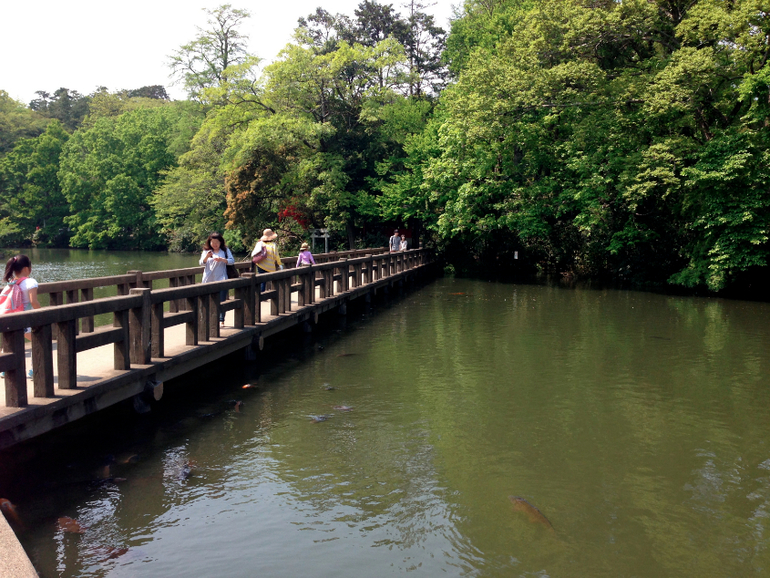 Inokashira Park...