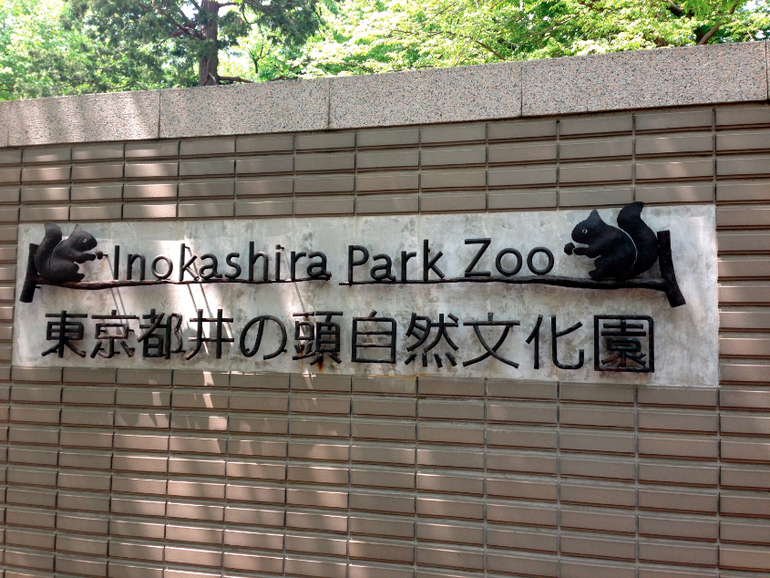 Inokashira Park...