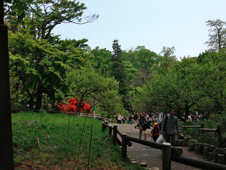 Inokashira Park...