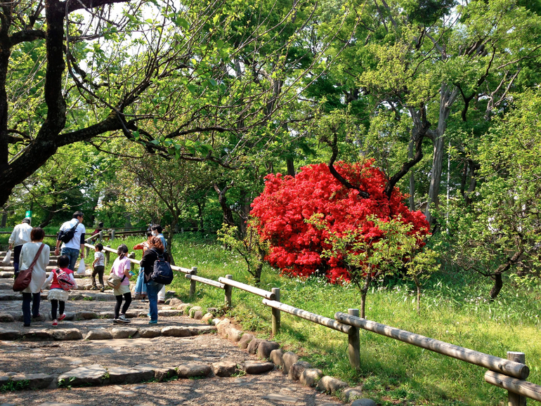 Inokashira Park...