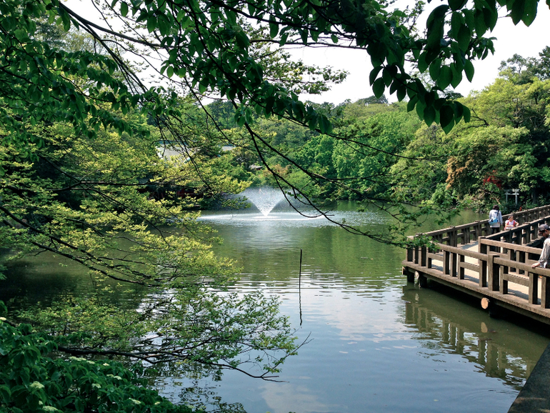 Inokashira Park...