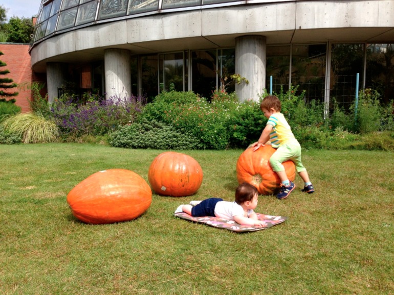 Happy Halloween!