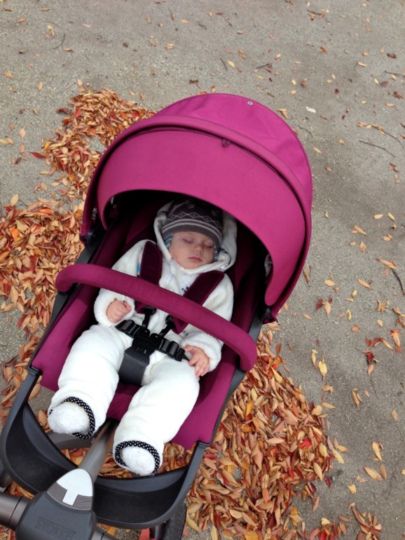 Осенняя прогулка...