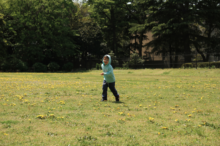 e121783dbf0ae1020ceb3fe8a3fcf21f.jpg