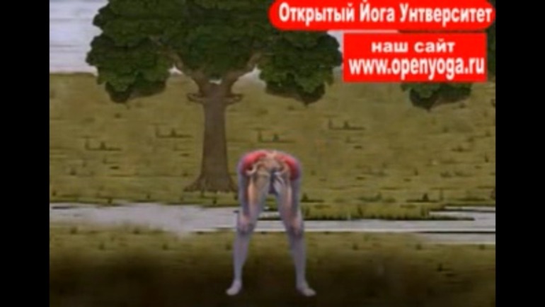 Йога... (список асан)