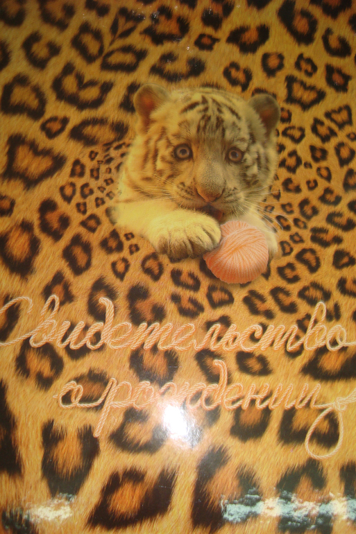 Обложки для документов