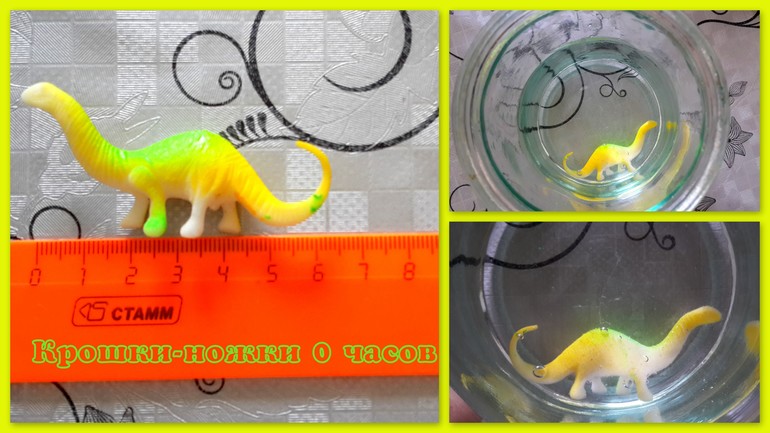 Выращиваем крошки-ножки