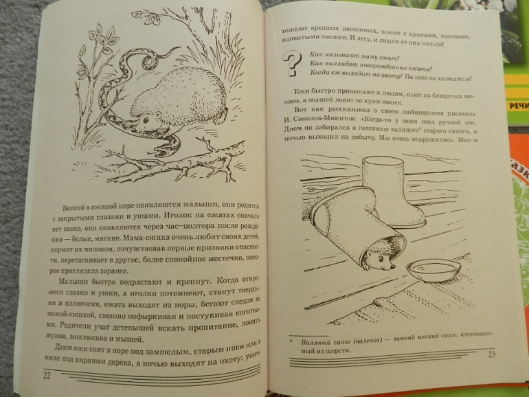 Из Лабиринта!