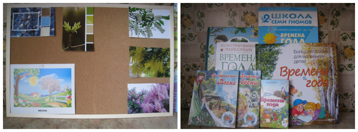 ТН Весна. Деревья весной.