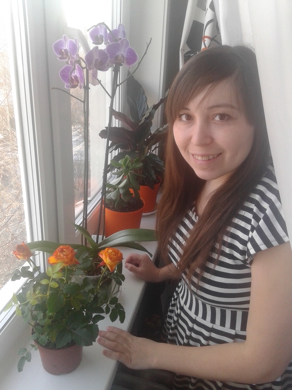 История моей розы