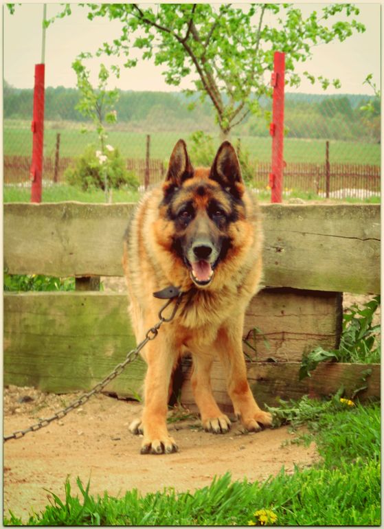 Дыхание природы... :) или наши радости за городом!