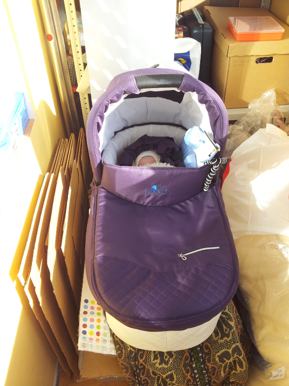 Отзыв о новой на рынке коляске Noordline Edel Viva в цвете Blurberry