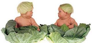 Интересная статья и просто красивые картинки двоен, троен...да вообще детишек)