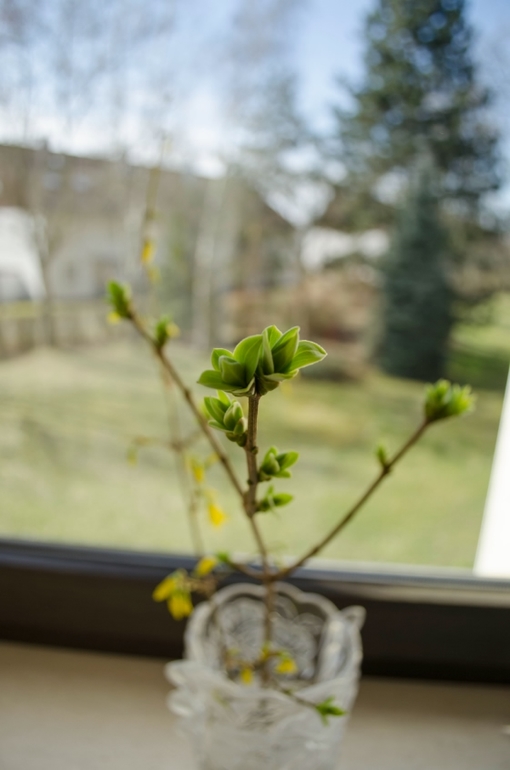 Весеннее настроение