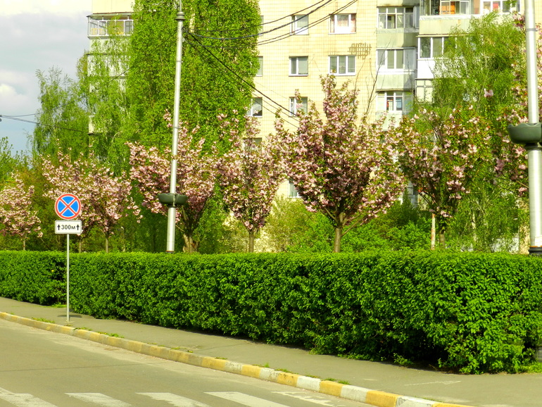 Прогулка по городу. Гляссе.