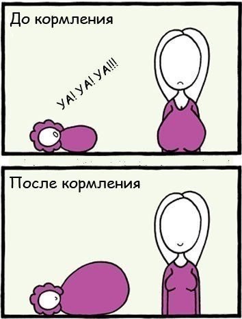 Что нужно знать о гв будущей маме?