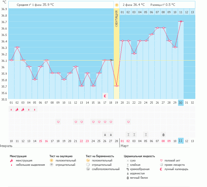 Что думаете по моему графику?