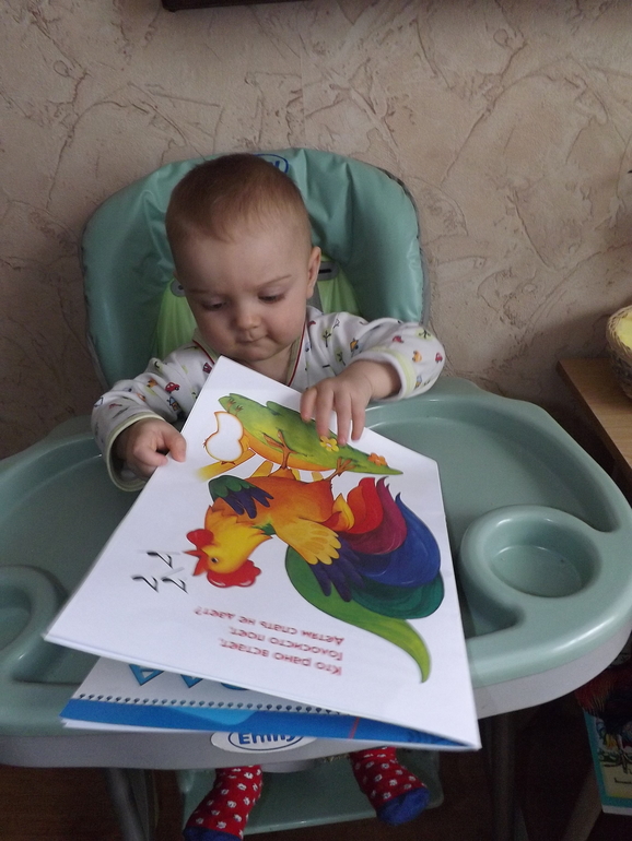 наш отчет ТЗ