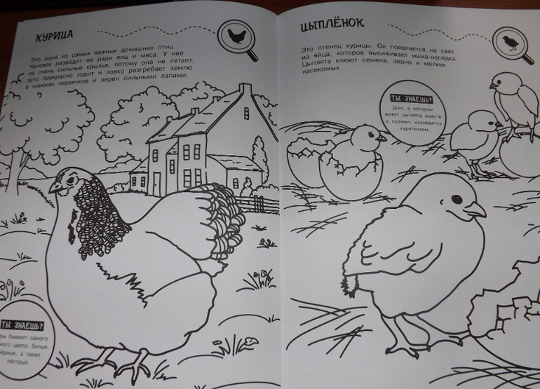 наш отчет ТЗ