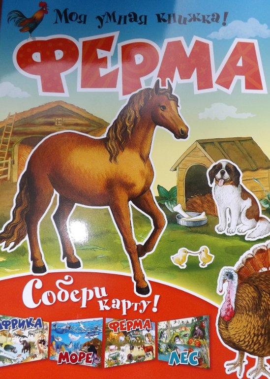 наш отчет ТЗ