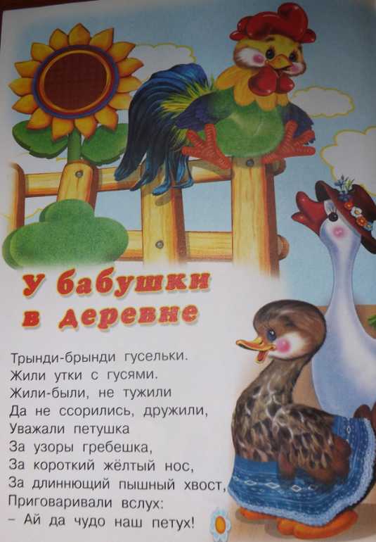 наш отчет ТЗ