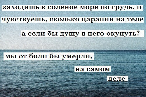6e5f4b067a2b91d6dc548dc17e2875c2.jpg