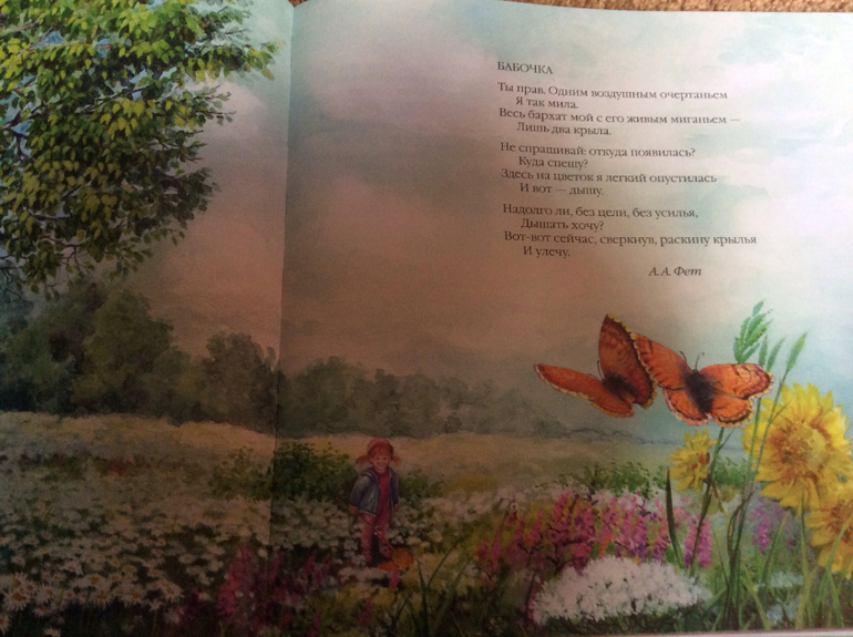 Времена года