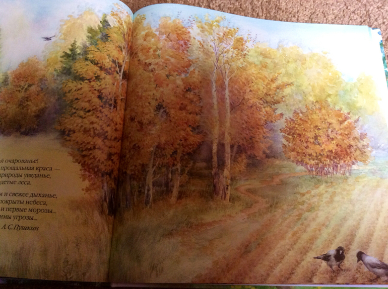 Времена года