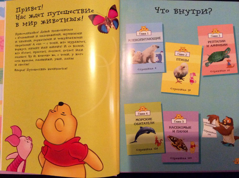 Первые энциклопедии