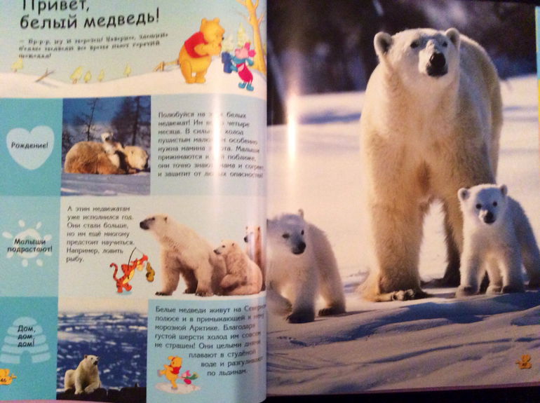 Первые энциклопедии