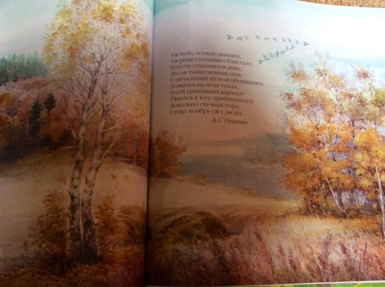 Времена года