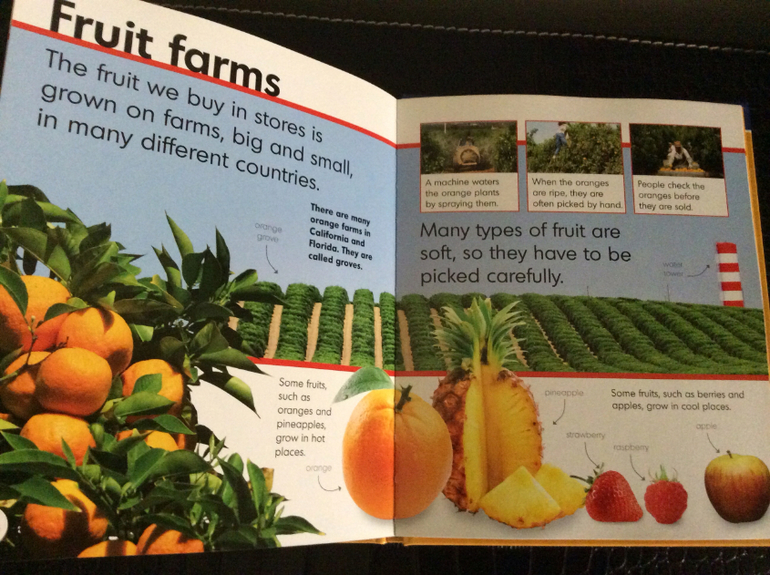 Новое пополнение