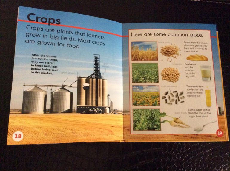 Новое пополнение