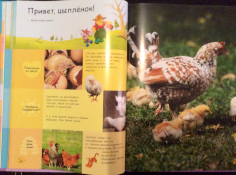 Первые энциклопедии