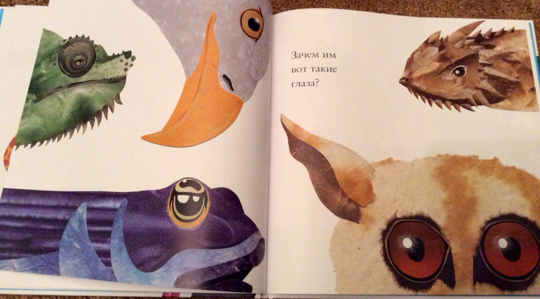 Интересные факты о животных