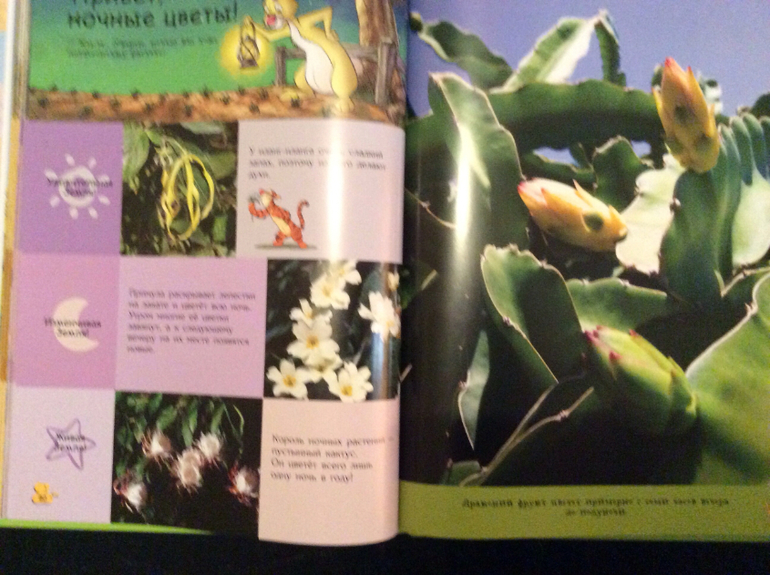 Первые энциклопедии