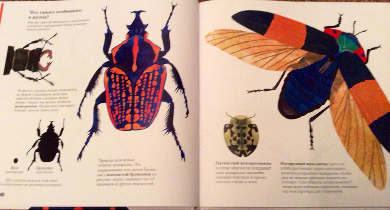 Интересные факты о животных