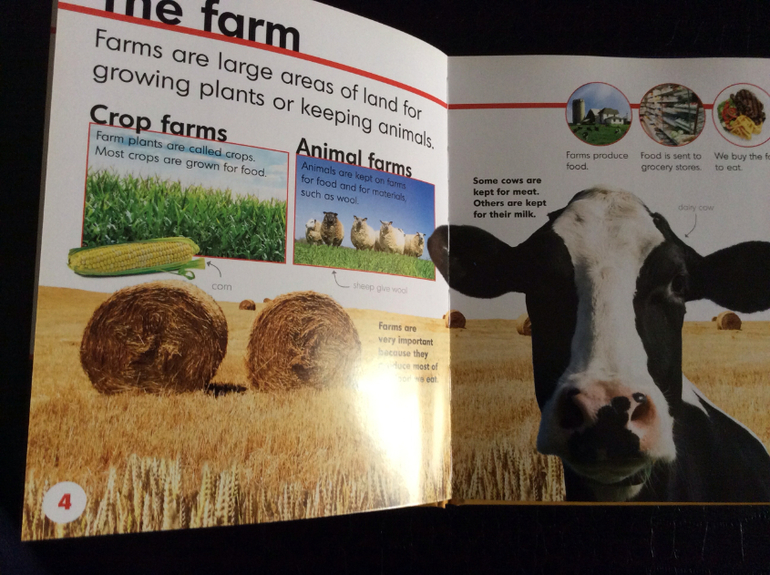 Новое пополнение