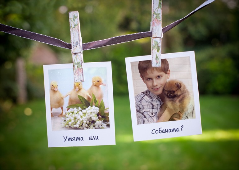 Специально для деток от 2-х лет! Фотосессии с утятами или с собачатами! Выбирайте!