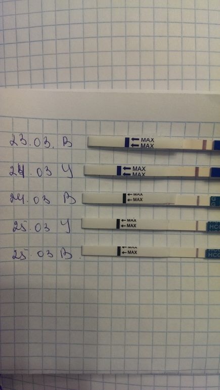 Всё еще надеюсь на чудо.