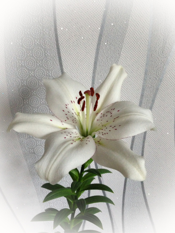 Мои красотулечки