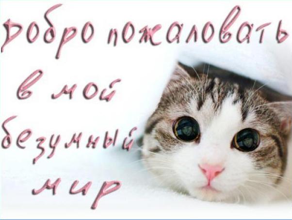 скоро буду мамой двух принцессок)))